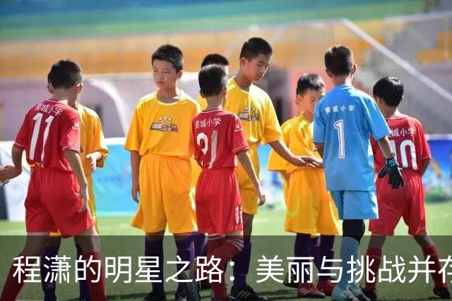 程潇的明星之路：美丽与挑战并存的背影